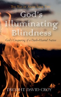 Cover God’s Illuminating Blindness