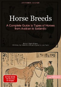 Cover Horse Breeds: A Complete Guide to Types of Horses from Arabian to Icelandic