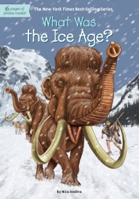 Cover What Was the Ice Age?