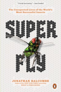 Cover Super Fly