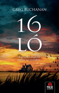 Cover 16 ló