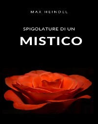 Cover Spigolature di un mistico (tradotto)