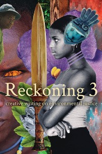 Cover Reckoning 3