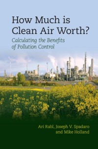 Cover How Much Is Clean Air Worth?