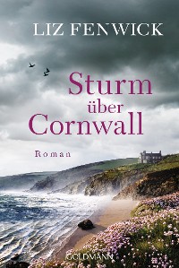 Cover Sturm über Cornwall