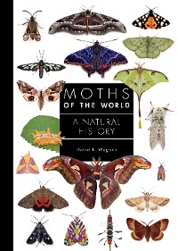 Cover Moths of the World