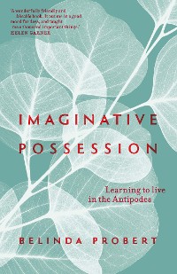 Cover Imaginative Possession