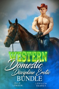 Cover Western Domestic Discipline Erotic Bundle