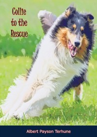 Cover Collie to the Rescue