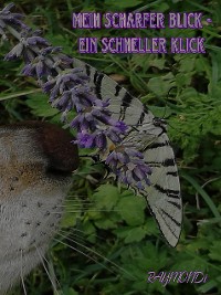 Cover mein _scharfer_BLICK☆ein_schneller-KLICK☆IDEE+GLÜCK