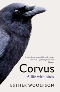 Cover Corvus