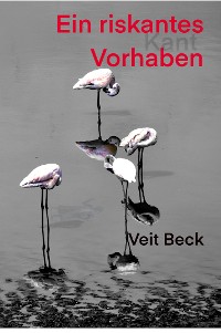 Cover Ein riskantes Vorhaben