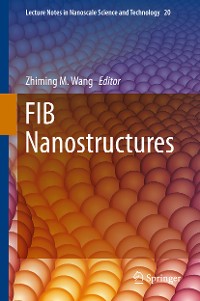 Cover FIB Nanostructures