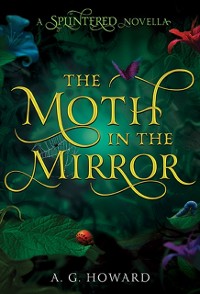 Cover Moth in the Mirror