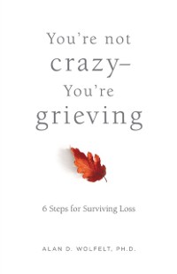 Cover You're Not Crazy-You're Grieving: