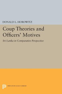 Cover Coup Theories and Officers' Motives