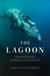 Cover The Lagoon 