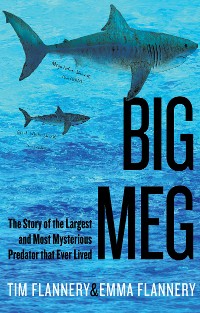 Cover Big Meg