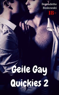 Cover Geile Gay Quickies 2