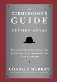 Cover Curmudgeon's Guide to Getting Ahead