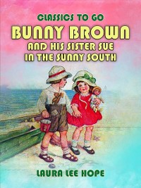 Cover Bunny Brown And His Sister Sue In The Sunny South