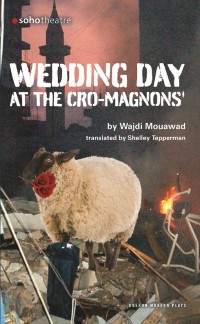 Cover Wedding Day at the Cro-Magnons
