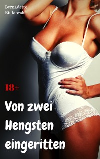 Cover Von zwei Hengsten eingeritten