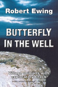 Cover Butterfly in the Well