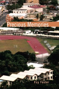 Cover Precious Memories