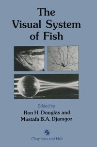 Cover Visual System of Fish