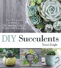 Cover DIY Succulents