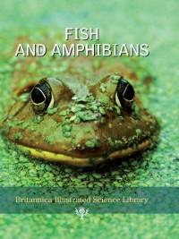 Cover Fish and Amphibians