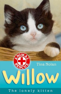 Cover Willow the lonely kitten