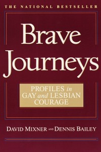 Cover Brave Journeys