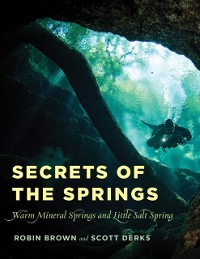 Cover Secrets of the Springs