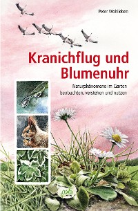 Cover Kranichflug und Blumenuhr