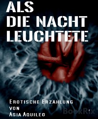 Cover Als die Nacht leuchtete