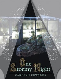 Cover One Stormy Night