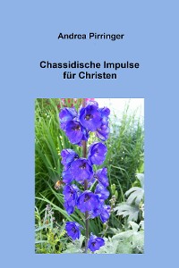 Cover Chassidische Impulse für Christen