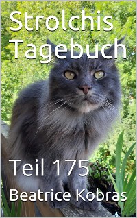 Cover Strolchis Tagebuch - Teil 175