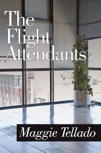 Cover The Flight Attendants