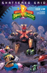 Cover Mighty Morphin Power Rangers #30