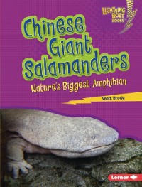 Cover Chinese Giant Salamanders