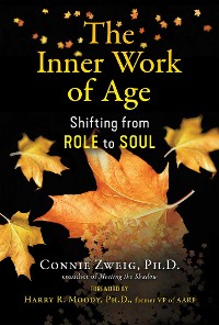 Cover Inner Work of Age