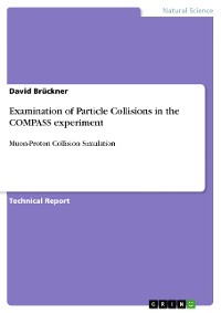 Cover Examination of Particle Collisions in the COMPASS experiment