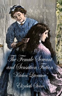Cover The Female Servant and Sensation Fiction
