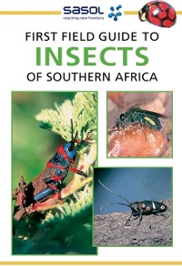 Cover Sasol First Field Guide to Insects of Southern Africa