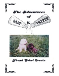 Cover Adventures of Salt & Pepper