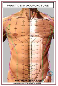 Cover Practic In Acupuncture