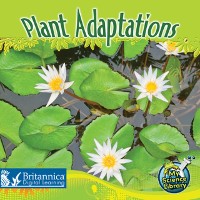 Cover Plant Adaptations